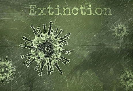 extinction